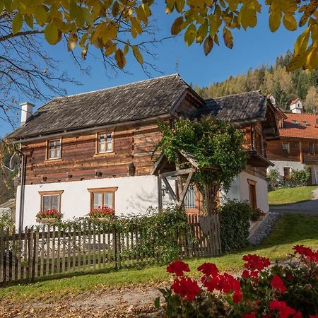 Troadkasten - Ferienhaus am BIO-Bergbauernhof Aflenz Kurort Exterior foto