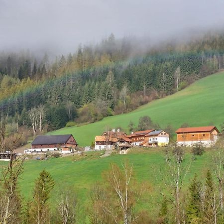 Troadkasten - Ferienhaus am BIO-Bergbauernhof Aflenz Kurort Exterior foto